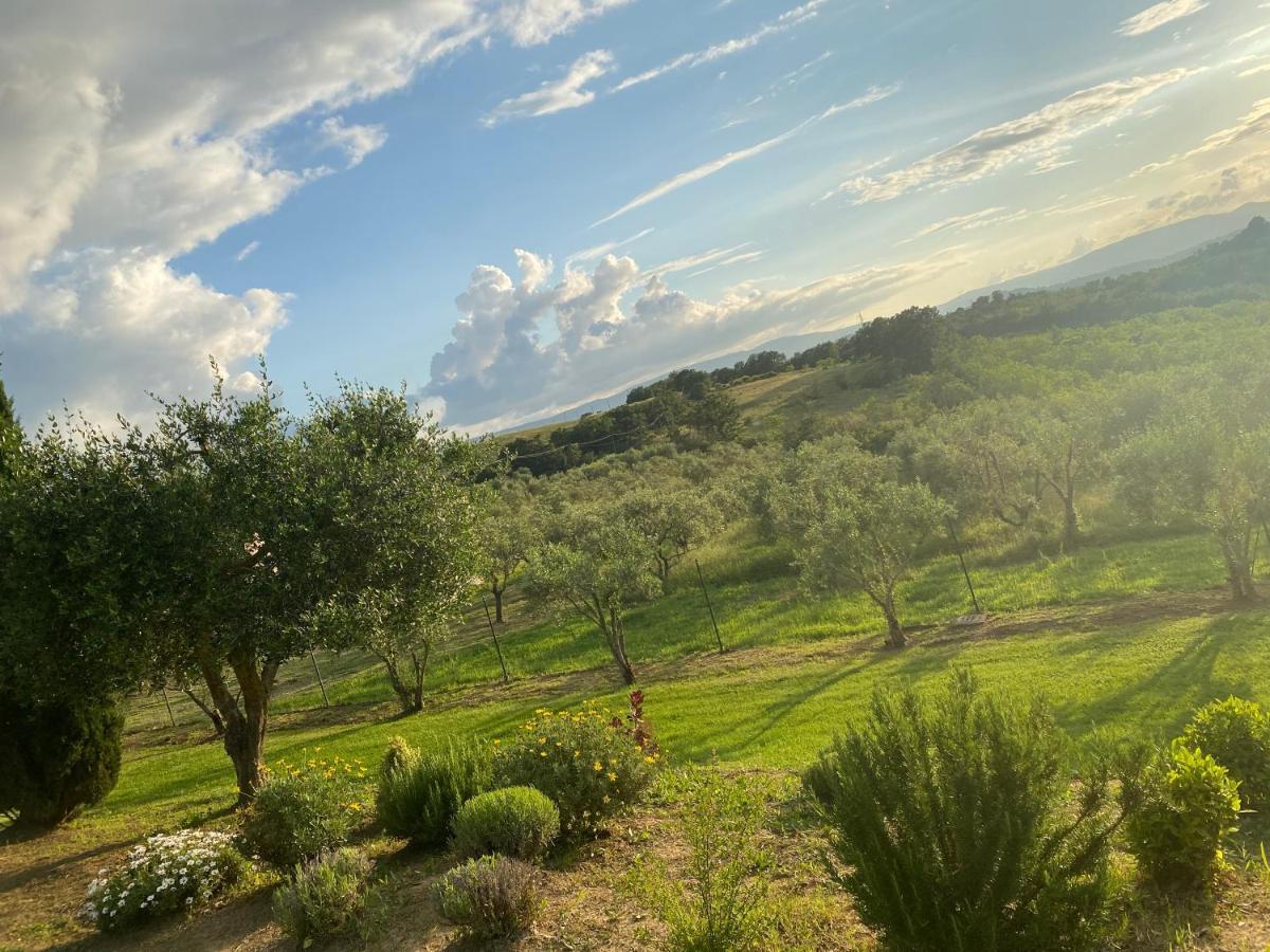 Agriturismo Palazzo Val Del Sasso Villastrada  Εξωτερικό φωτογραφία